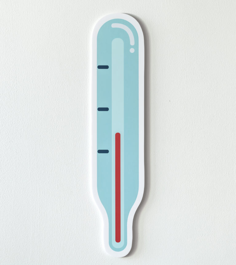 temperature measurent thermometer icon