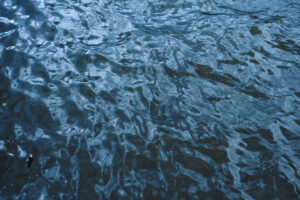 blue water surface with white object middle