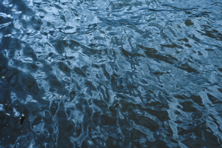 Como encher corretamente o depósito de água do radiador do teu carro 4 blue water surface with white object middle